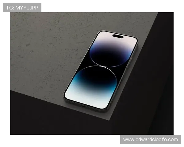 揭秘凯发手机会员登录的安全性与用户体验